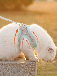 2件套反光猫狗牵引绳和胸背带套装 - 舒适透气的网眼背心搭配加厚尼龙牵引绳，适合小型至中型犬；宠物项圈 - 防勒颈设计，带双D形环 - 彩色 - 查看 9