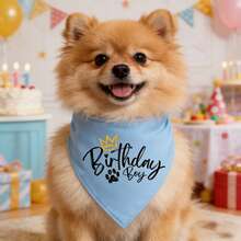 新款狗狗生日头巾，生日派对宠物配饰，6种颜色可选，狗狗猫咪生日围巾/领巾 - 彩色 - 查看 8