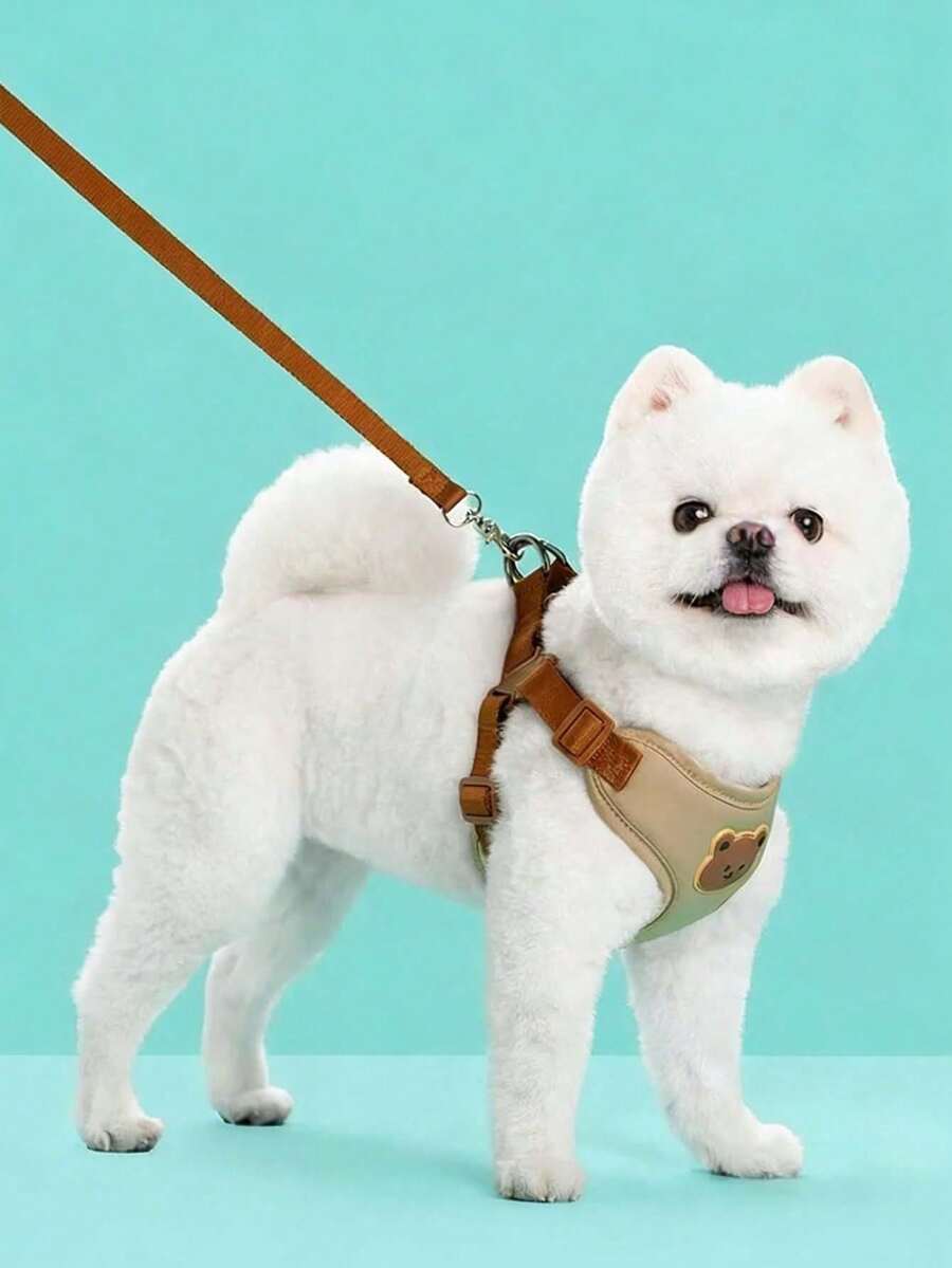 遛狗牵引绳，宠物胸背带，适合中小型犬，户外牵引绳，宠物胸背带，狗绳，泰迪狗绳 - 彩色 - 查看 1