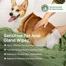 Pet Wipes, Suitable For Cats And Dogs, Veterinarian Recommended, Cleans And Deodorizes, Soothes Allergies And Infections, Gland Cleaning Wipes, Hypoallergenic Formula, Moisturizes And Nourishes Fur, Suitable For Dog Paws, Buttocks And Whole Body Care Wipes. - trắng - Xem 7