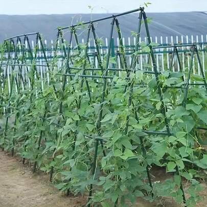 28pcs Garden Support Set, Multi-Functional Garden Support Rod Set, Garden Trellis Climbing Pole, Suitable For Various Fruits And Vegetables, Plant Support, Freely Combinable And Assembled
