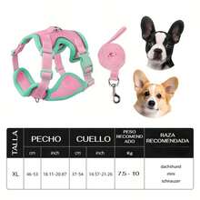 UNA MASCOTA Pet Collars, Leashes & Harnesses Sets - Black - View 9