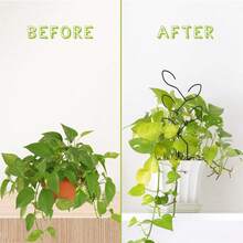 Minimalist Metal Plant Support For Climbing & Upright Plants - B-đen - Xem 4