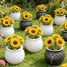 4 pezzi Piccoli vasi idroponici pigri, vasi in plastica trasparenti a doppio strato, vasi autoinaffianti con corda di cotone assorbente, accessori per la cura delle piante da interno ed esterno, balcone e scrivania - A - Visualizzare 7