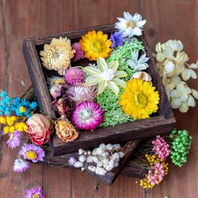 1 pieza 90g/120g/150g/180g/210g Flores secas decorativas artificiales, potpurrí, materiales DIY - Incluye crisantemo colorido, rosa dorada, pétalos secos de jazmín