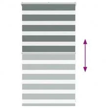 vidaXL Doppelrollo Dunkelgrau 70x100 Cm Stoffbreite 65,9 Cm Polyester - Einheitsgröße - Übersicht 6