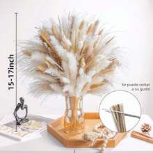 Bebeay 120pcs Decoración De Hierba De Pampas Secas Pampas Decorativas Naturales Lote 8 Estilos Diferentes Plumaje Seco Pampa para Decoración De Mesa para Boda Boho Fiesta Rústica y Hogar - 120 piezas - Ver 4