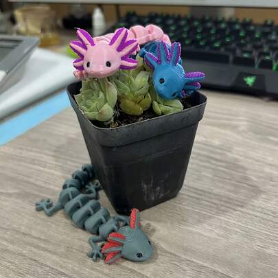 Flexible Stress Relief Toy: 3D Printed Realistic Mexican Axolotl | Full Articulation, Soft & Comfortable, Suitable For Desk, Travel And Anxiety Relief (Random Color)