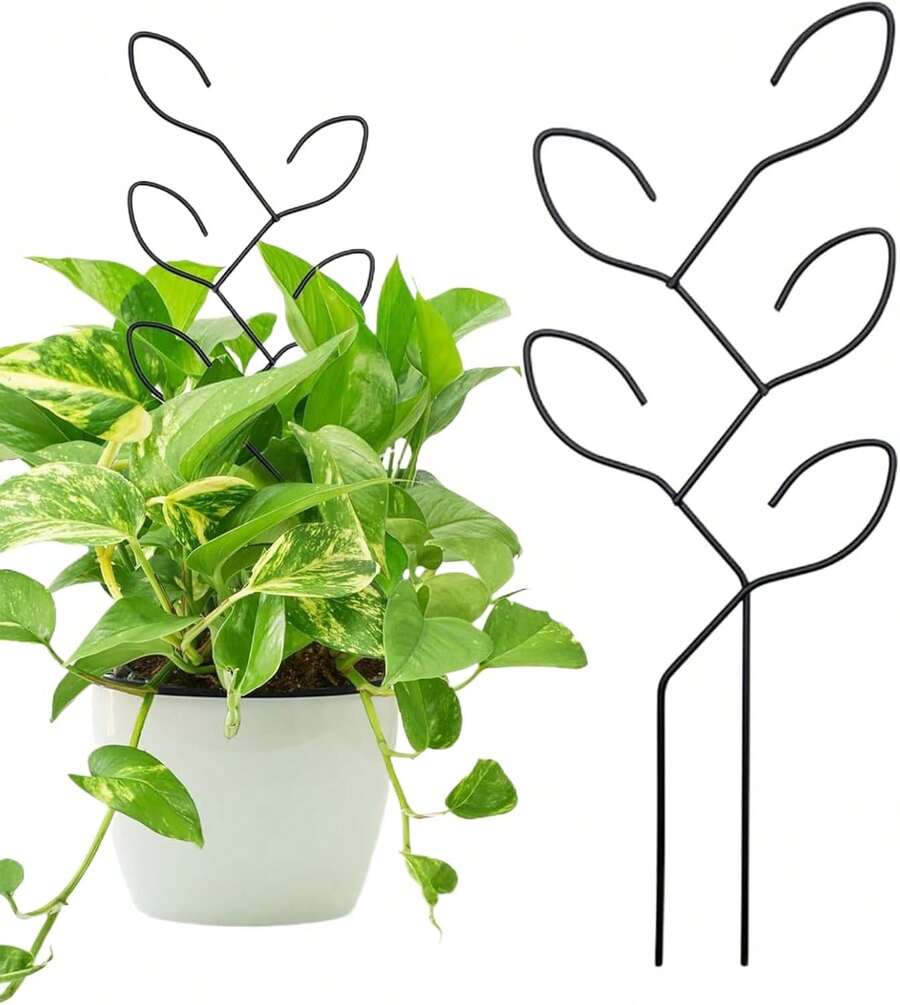 Minimalist Metal Plant Support For Climbing & Upright Plants - B-đen - Xem 1