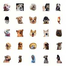 50张/包 可爱卡通宠物狗猫表情包贴纸，趣味美观标签，适用于剪贴簿、封口、文具、吉他、乐器、装饰，适合万圣节、圣诞节、青少年派对、奖励、激励 - 黑色 - 查看 2