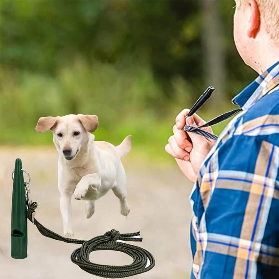 Dog Whistle With Lanyard - Pet Training Whistle, Dog Training Whistle, Horse Training - Black - View 1