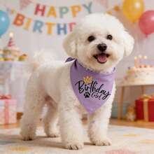 新款狗狗生日头巾，生日派对宠物配饰，6种颜色可选，狗狗猫咪生日围巾/领巾 - 彩色 - 查看 9