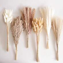 Bebeay 120pcs Decoración De Hierba De Pampas Secas Pampas Decorativas Naturales Lote 8 Estilos Diferentes Plumaje Seco Pampa para Decoración De Mesa para Boda Boho Fiesta Rústica y Hogar - 120 piezas - Ver 1