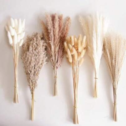 Bebeay 120pcs Decoración De Hierba De Pampas Secas Pampas Decorativas Naturales Lote 8 Estilos Diferentes Plumaje Seco Pampa para Decoración De Mesa para Boda Boho Fiesta Rústica y Hogar