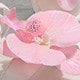 粉色