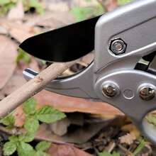 SK5合金钢修枝剪，带滑轮、涂层刀片和符合人体工程学的铝合金手柄，适用于采摘水果、盆景和树木修剪 - 现代风格园艺工具 - 分段式黑紅滑輪剪刀 - 查看 3