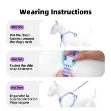 UNA MASCOTA Pet Collars, Leashes & Harnesses Sets - Violet Purple - View 3