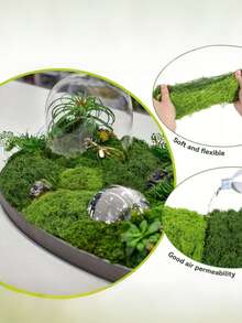 耐用人造仿真苔藓草坪，适用于玻璃容器、花盆和花园景观，具有自然绿色苔藓质感，非常适合家居和花园装饰，室内外均可使用。 - 彩色 - 查看 11