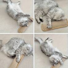 猫咪互动训练玩具 - 玩具 - 查看 9