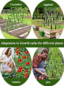 Bộ giá đỡ vườn 28 chi tiết, bộ thanh đỡ đa chức năng, giàn leo vườn, thích hợp cho nhiều loại trái cây và rau củ, hỗ trợ cây trồng, có thể kết hợp và lắp ráp tự do. - Giá đỡ cây - Xem 6
