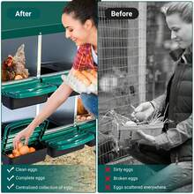 Nido para Gallinas de 6 Espacios con Recolección Automática de Huevos - Caja de Puesta Verde con Bandeja de Plástico y Ventilación - Verde - Ver 6