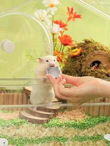 1块/4块/6块方形和三叶草形磨刀石，适用于仓鼠、兔子、豚鼠、猫和其他小型宠物 - 彩色 - 查看 3