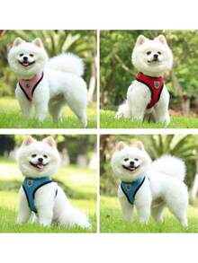 2pcs/Set Breathable Mesh Cat/Dog Harness And Leash Set - Reflective, Adjustable Pet Vest With Leash, Suitable For Small Dogs And Cats, Convenient For Walking And Training, Durable - Multicolor - View 8