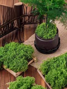 耐用人造仿真苔藓草坪，适用于玻璃容器、花盆和花园景观，具有自然绿色苔藓质感，非常适合家居和花园装饰，室内外均可使用。 - 彩色 - 查看 2