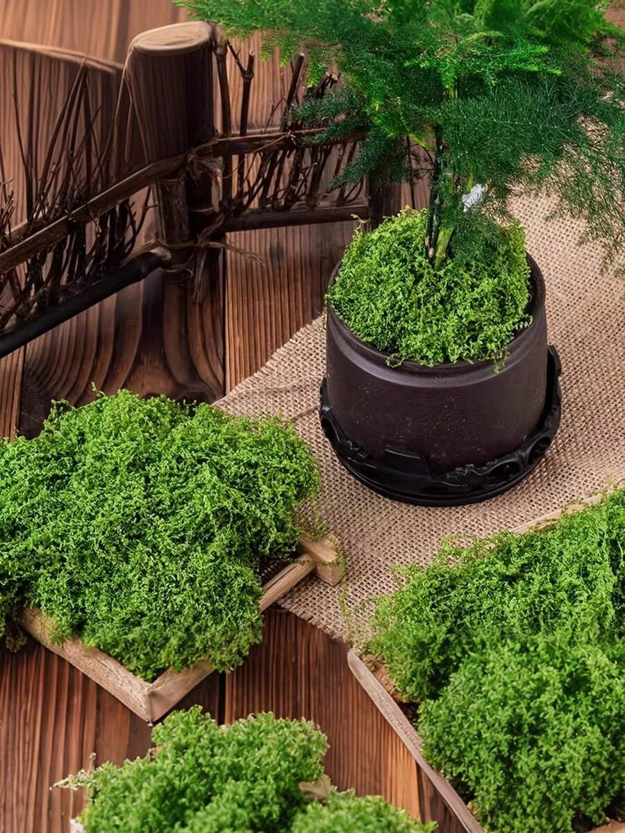 耐用人造仿真苔藓草坪，适用于玻璃容器、花盆和花园景观，具有自然绿色苔藓质感，非常适合家居和花园装饰，室内外均可使用。
