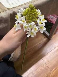 1 件逼真的人造花，逼真的绿色茎多肉植物，星形花朵，逼真的蒲公英带叶子，白色和绿色仿真花，为餐桌、婚礼、活动、派对、家居装饰增添清新气息。 - 彩色 - 查看 10