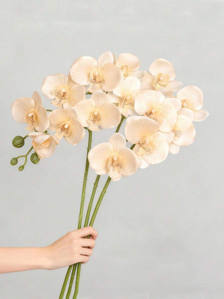 1/2支精美仿真香槟兰花，每支花茎有9朵栩栩如生的大兰花，适合DIY花束、花艺装饰、家居装饰、派对装饰、婚礼用品、桌面装饰、花墙、卧室装饰、客厅装饰和房间装饰。 - 彩色 - 查看 1