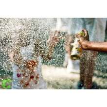 Kit Of 12 Foam Carnival Spray Artificial Snow Fake Parties 400ml Joy Wholesale Resale - BỘ 12 - Xem 6