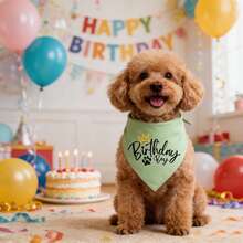 新款狗狗生日头巾，生日派对宠物配饰，6种颜色可选，狗狗猫咪生日围巾/领巾 - 彩色 - 查看 7