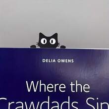 2D立体黑色猫头爪亚克力书签，送给爱猫人士、女性、学生、教师和爱书之人的完美礼物，适合学校、家庭和阅读爱好者。 - A - 查看 7