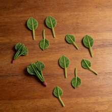 This Silicone Mold, Realistically Shaped Like A Spinach Leaf, Can Be Used To Create Plaster, Clay, And Resin Crafts, Perfect For DIY Enthusiasts. It's Reusable And Easy To Demold. - Square - View 2