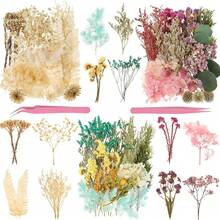 Ramo de flores secas - Pequeños ramos al azar - Ver 6