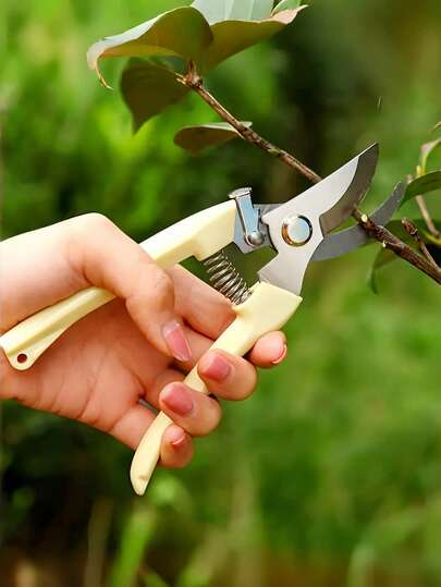 2件套不锈钢园艺剪刀，修剪树枝、花卉、采摘水果，多功能轻松舒适直刃和弯刃修枝剪