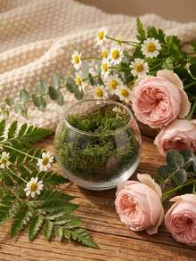 1Pc/3Pcs Moss Vase, Wabi-Sabi Glass Vase With Preserved Moss For Meditation Nooks, Gallery Installations, Relaxation Spaces. Great For Combining With Natural Stone Accents To Balance A Space, Styling A Minimalist Yoga Studio, Or Adding Warmth To A Sunlit Reading Corner, And Suitable For Wellness Centers, Art Exhibitions, And Bohemian-Style Homes. - Multicolor - View 3