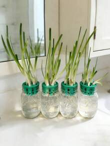 7孔模块化水培种植箱 | 塑料自吸水花盆，无需工具即可轻松组装，适用于香草、蔬菜，室内/室外花园系统 - 多色 - 查看 5