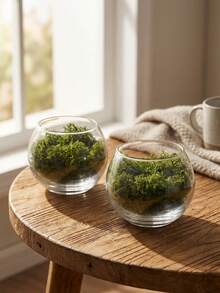 1Pc/3Pcs Moss Vase, Wabi-Sabi Glass Vase With Preserved Moss For Meditation Nooks, Gallery Installations, Relaxation Spaces. Great For Combining With Natural Stone Accents To Balance A Space, Styling A Minimalist Yoga Studio, Or Adding Warmth To A Sunlit Reading Corner, And Suitable For Wellness Centers, Art Exhibitions, And Bohemian-Style Homes. - Multicolor - View 13
