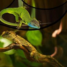 2pcs Bearded Dragon & Gecko Hammock - Breathable Mesh, Removable, Suitable For Large & Small Lizards And Snakes, Anole Lizard, Reptile Hammock - Multicolor - View 8