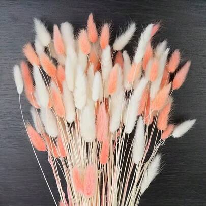 30/60/120/180/240pcs Dried Pampas Grass Decor, Bohemian Home Decor, Mini Bunny Tail Dried Flowers Bouquet Wholesale, Wedding Table, Country Party, Baby Christening Decoration, Minimalist Arrangement, Decorative Stems, Dried Flower Bouquet, Bridal Decor, DIY Decoration Enthusiasts