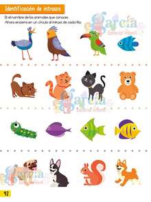 Animal Kingdom: 10 Titles Paperback - Square - View 5