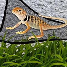 2pcs Bearded Dragon & Gecko Hammock - Breathable Mesh, Removable, Suitable For Large & Small Lizards And Snakes, Anole Lizard, Reptile Hammock - Multicolor - View 6