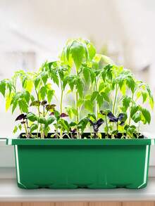 12/6 Compartment Mini Greenhouse Seed Starter Tray Set, Plastic Propagation Trays With Vents And Lids To Control Humidity, Suitable For Vegetable, Fruit And Herb Planting, No Electricity Required - Multicolor - View 3