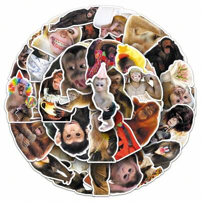 50 piezas Pegatinas de vinilo de mono loco, hermosas y prácticas, adecuadas para scrapbooks, diarios, parachoques, patinetas, botellas de agua, cascos, tazas de agua, pegatinas de coche, etc.