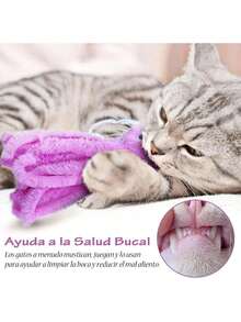 3 Piezas Juguetes para Gatos Colgantes en Interiores, Juguetes de Plumas para Gatos, Juguetes Interactivos para Kitten, Juguetes para Puertas de Gato con Ganchos, Estimulación Deportiva en Gatos,41152468 - Multicolor - Ver 2
