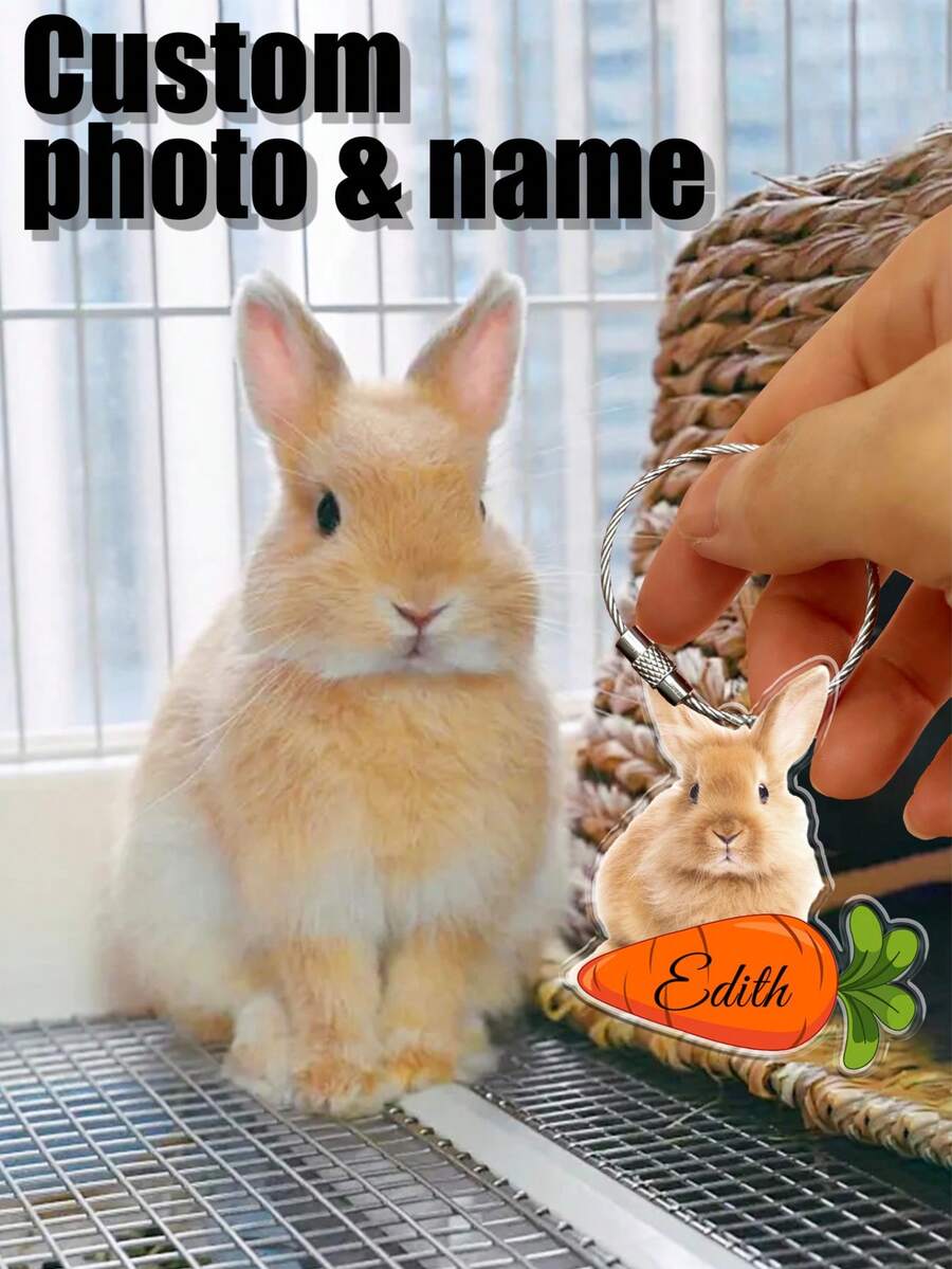 1pc Customizable Funny Dinosaur Design Photo Keychain, Personalized For Kids, Pets, Birthday, Holiday Events, All Season - Multicolor - View 1