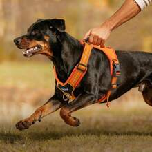 中/大型犬战术胸背带，带手柄和牵引绳扣，可调节反光带，便于训练和遛狗时控制 - 彩色 - 查看 2