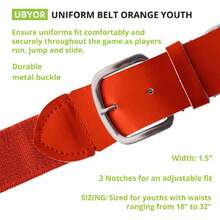 Champion Sports - Cinturones de béisbol y sóftbol para adultos y jóvenes, en varios colores,41154910 - Rojo y blanco - Ver 2